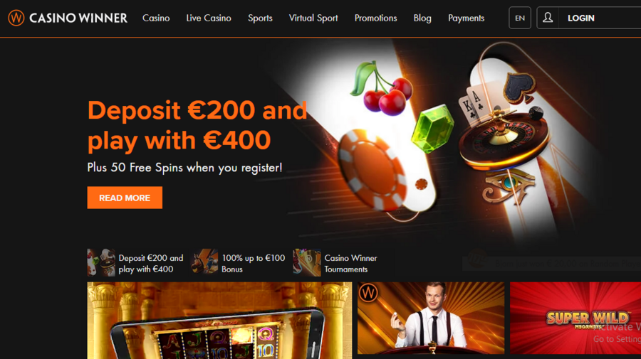 Casino Winner screenshot