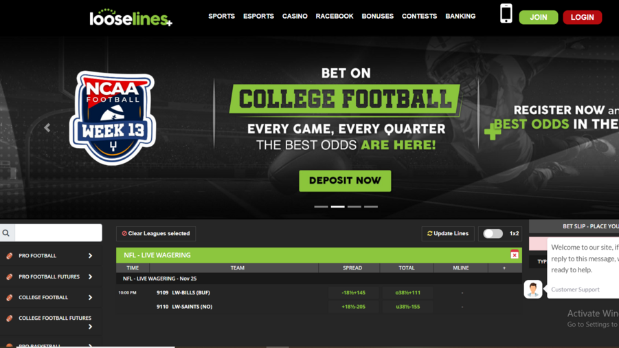 Looselines Sportsbook screenshot