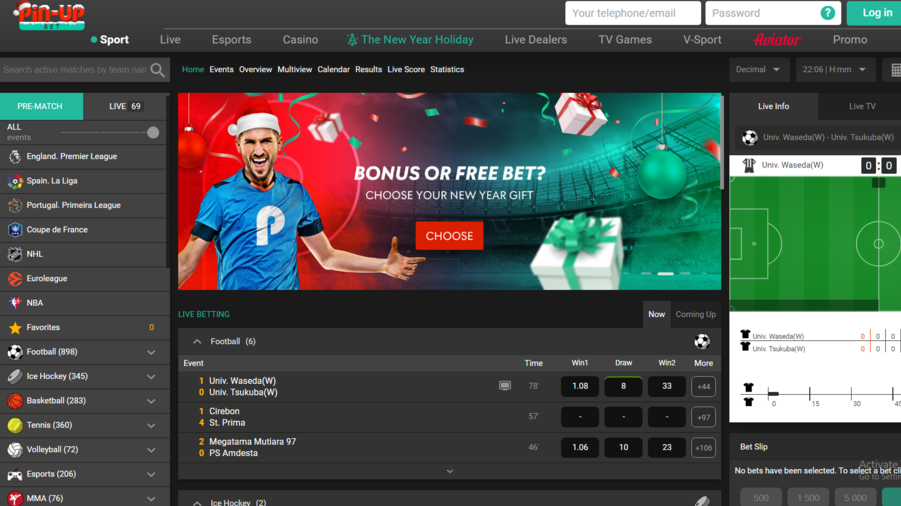 Pin-Up Bet screenshot